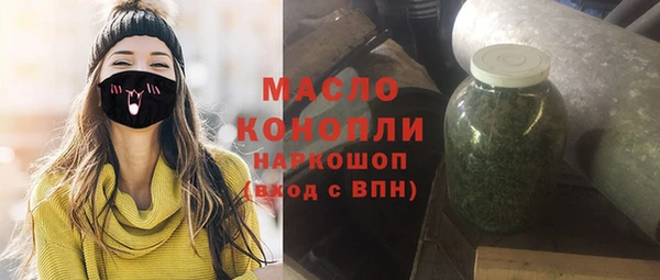 молекула духа Богородицк