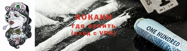 молекула духа Богородицк