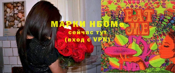 молекула духа Богородицк