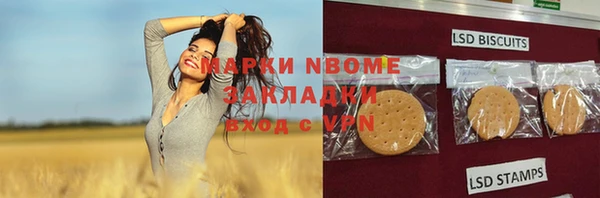 молекула духа Богородицк