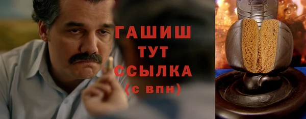 молекула духа Богородицк