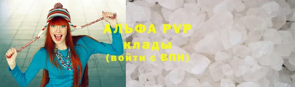 молекула духа Богородицк