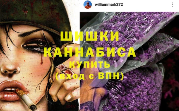 молекула духа Богородицк