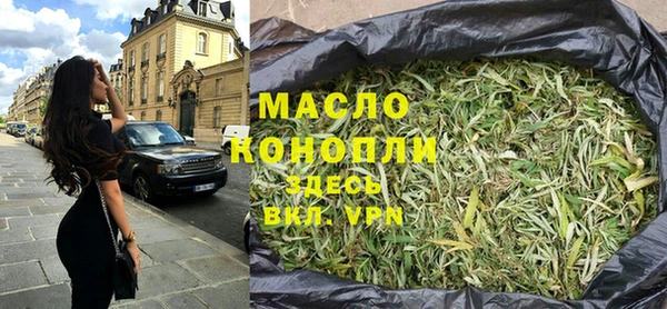 молекула духа Богородицк