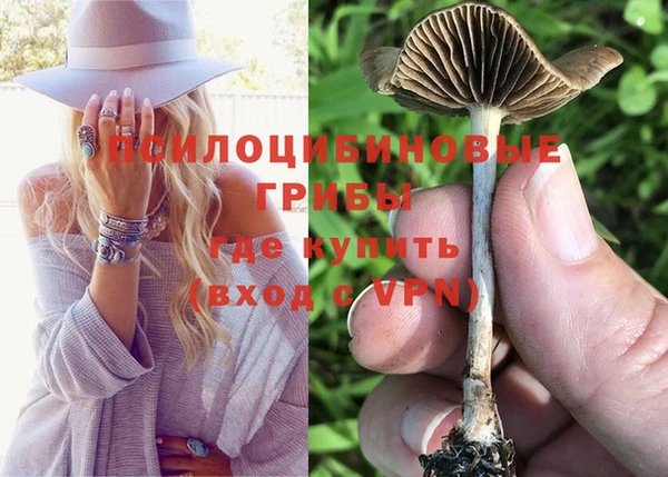 прущая мука Богданович