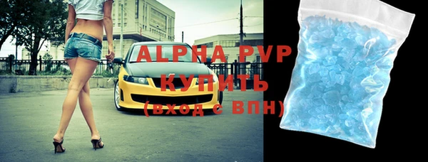 молекула духа Богородицк