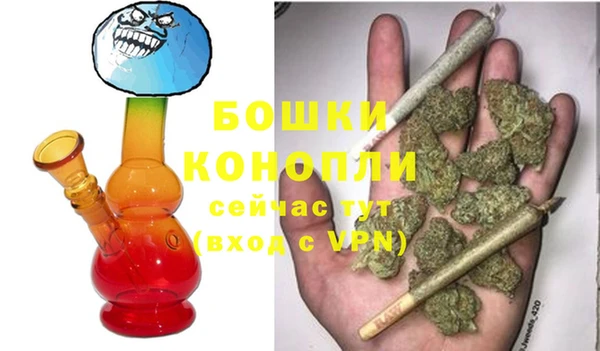 прущая мука Богданович